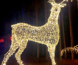 Lumina Park Bydgoszcz