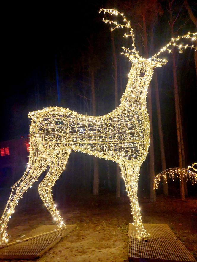 Lumina Park Bydgoszcz