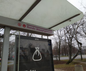 Krótsza linia 102 połączyła aktywistów. Będzie petycja i strona internetowa