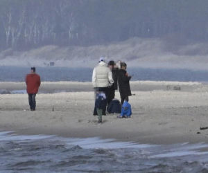 Prawdziwe paparazzi Rozenków nad morzem