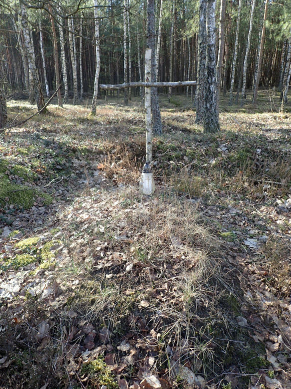 Ludzkie szczątki przy torach pod Świeciem! Tajemnica grobu w końcu wyszła na jaw