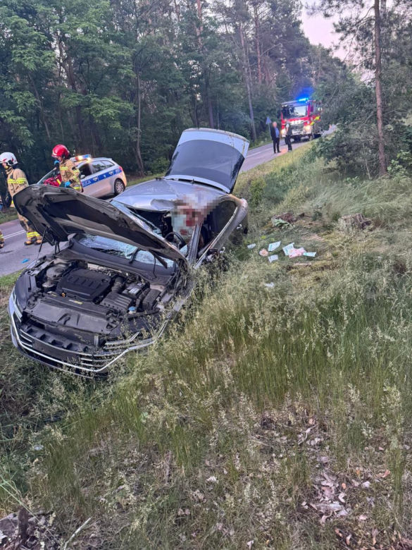 Kilkusetkilogramowy zwierz wbił się w auto 44-letniego Warszawiaka