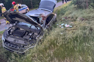 Kilkusetkilogramowy zwierz wbił się w auto 44-letniego Warszawiaka