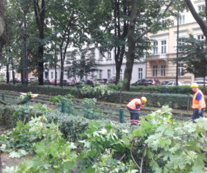 Nawałnica przeszła nad Krakowem: Zalane ulice, powalone drzewa, utrudnienia w komunikacji