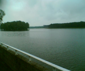 Sielpia