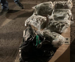 Policjanci z Poznania przechwycili ponad 176 kilogramów narkotyków!
