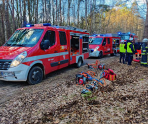 Makabra pod Płockiem! Seat mieszkańców Gostynina roztrzaskał się o drzewo [ZDJĘCIA]