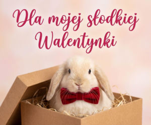 Walentynkowe życzenia z cytatami o miłości - słowa znanych i własne