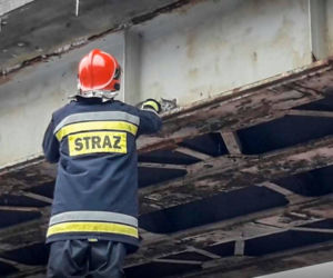 Niecodzienna akcja ratunkowa! Straż pożarna ściągała z wiaduktu… KOTA! 