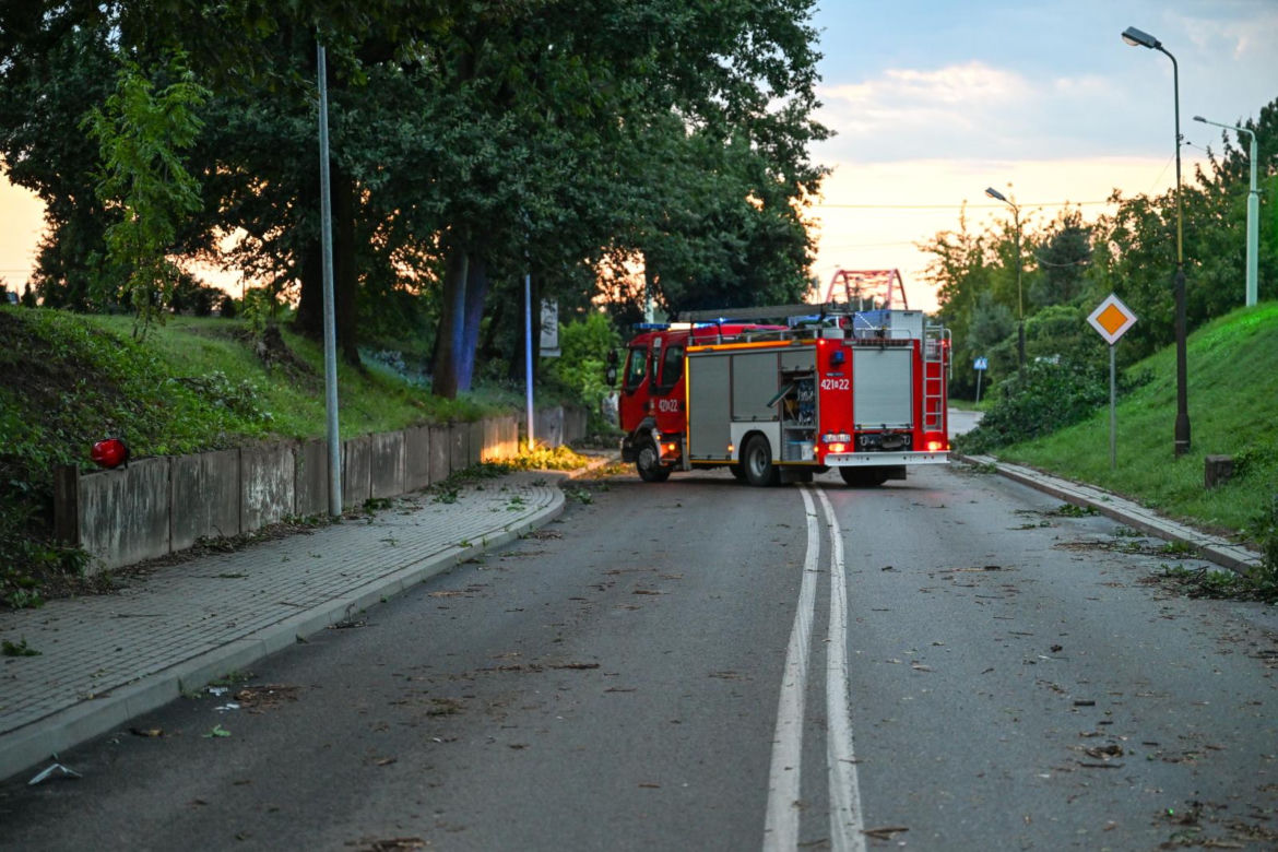 Ulewne deszcze na Podkarpaciu. Połamane drzewa na ulicach Dębicy