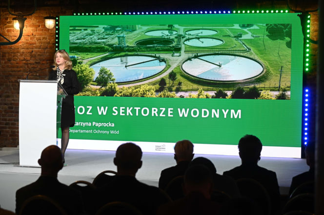 Współpraca międzynarodowa i korzystanie ze sprawdzonych wzorców - kluczem do sukcesu zielonej transformacji
