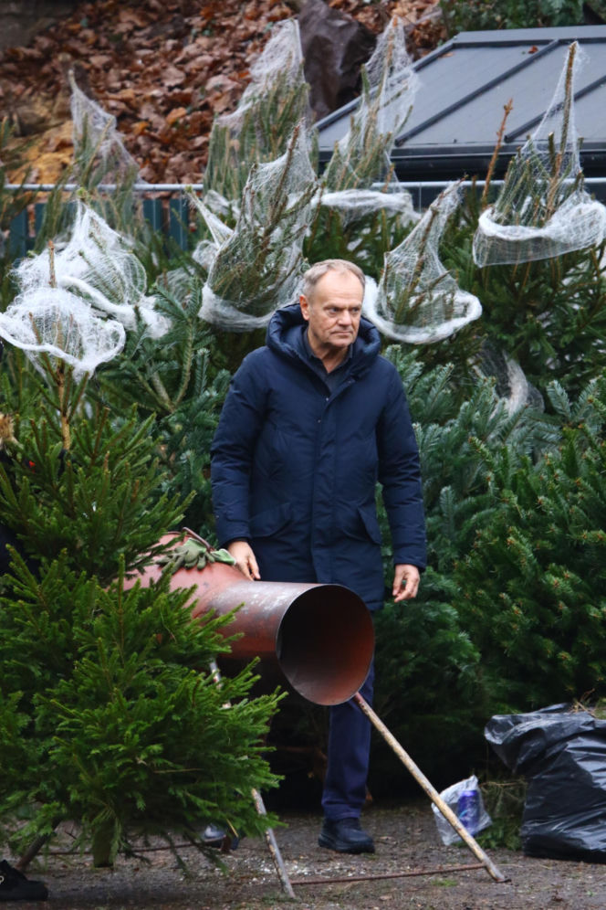 Donald Tusk z zięciem dźwigają gigantyczną choinkę. A za nimi drepcze Kasia z drugą. Wnusie premiera jak księżniczki