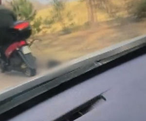 72-latek ciągnął psa za motorowerem. Zwierzę nie przeżyło