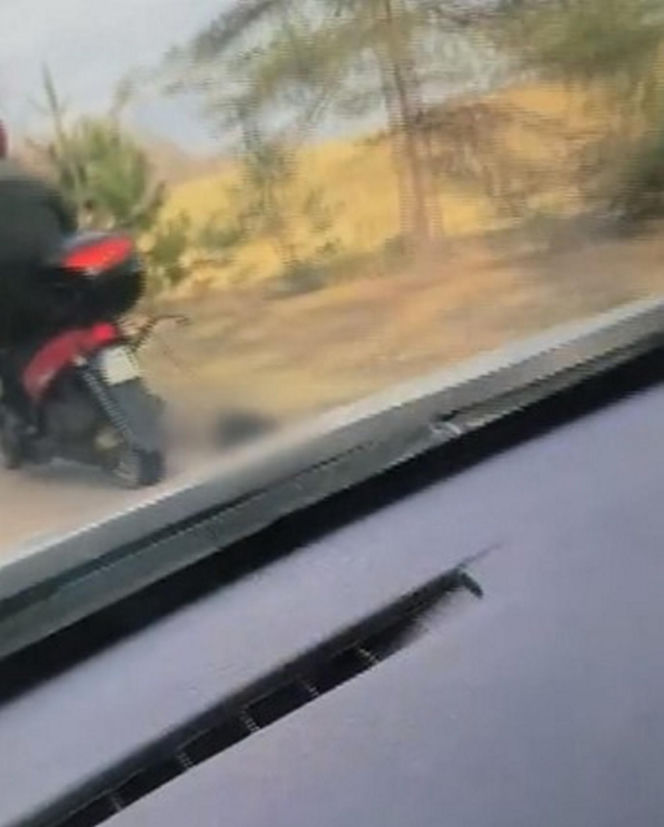 72-latek ciągnął psa za motorowerem. Zwierzę nie przeżyło