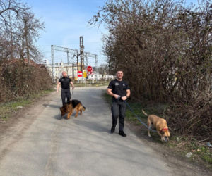 Osadzeni wspierają schronisko. To element ich resocjalizacji