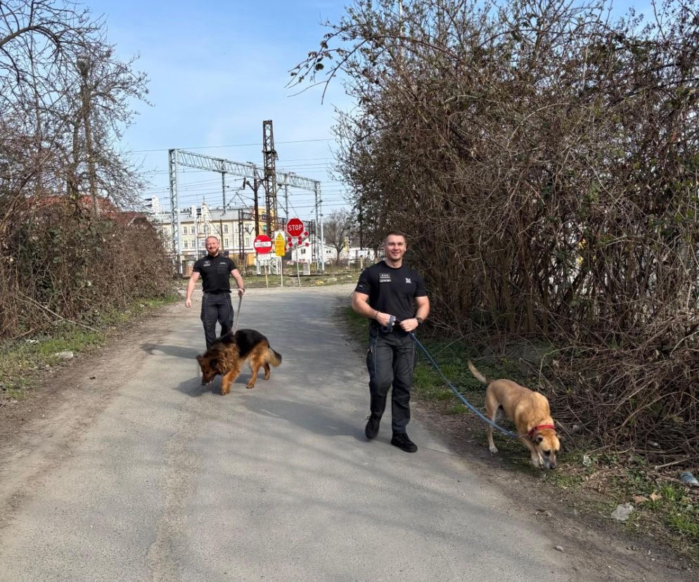 Osadzeni wspierają schronisko. To element ich resocjalizacji