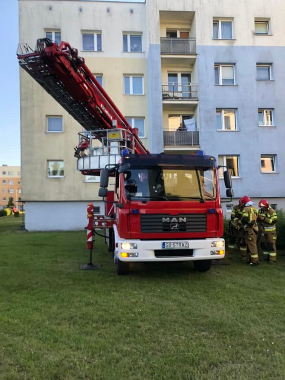 Pies konał w upale na balkonie. Dwa dni bez wody i jedzenia. Koszmar w Bytowie
