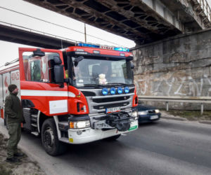 Niecodzienna akcja ratunkowa! Straż pożarna ściągała z wiaduktu… KOTA! 