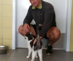 Więźniowie zajmują się zwierzętami w schronisku