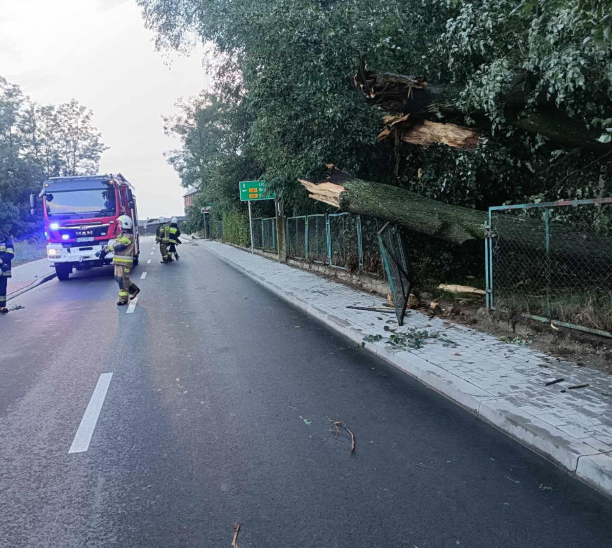 Podlaskie. Ponad 200 niedzielnych interwencji strażaków w związku z silnym wiatrem i burzami