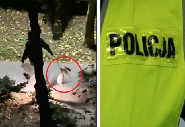Ciągnął po ziemi psa swojej partnerki, a potem rzucił nim o chodnik. Wszystko się nagrało!