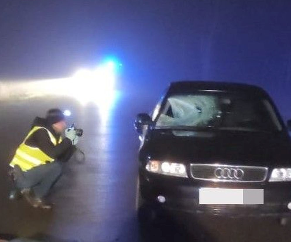 Zadole: Mężczyzna ZGINĄŁ pod kołami samochodu. Miał kamizelkę! HORROR w gęstej mgle