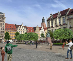 121 nowych drzew na rynku we Wrocławiu