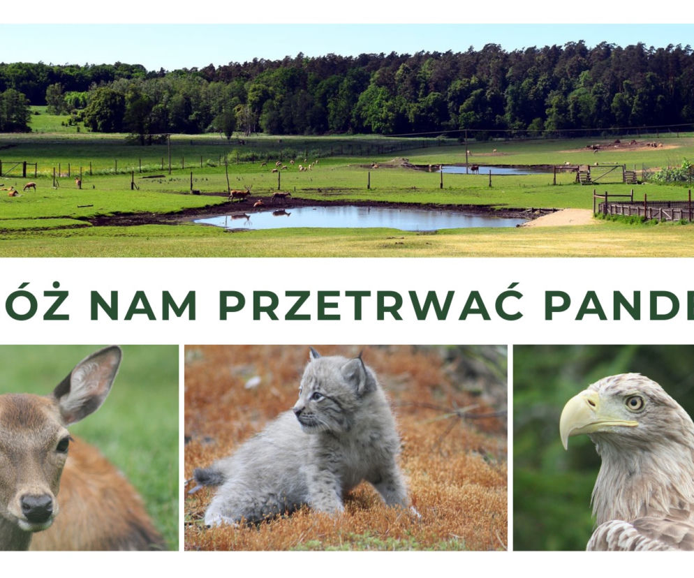 Uratujmy Park Dzikich Zwierząt w Kadzidłowie. Nie poddajemy się!