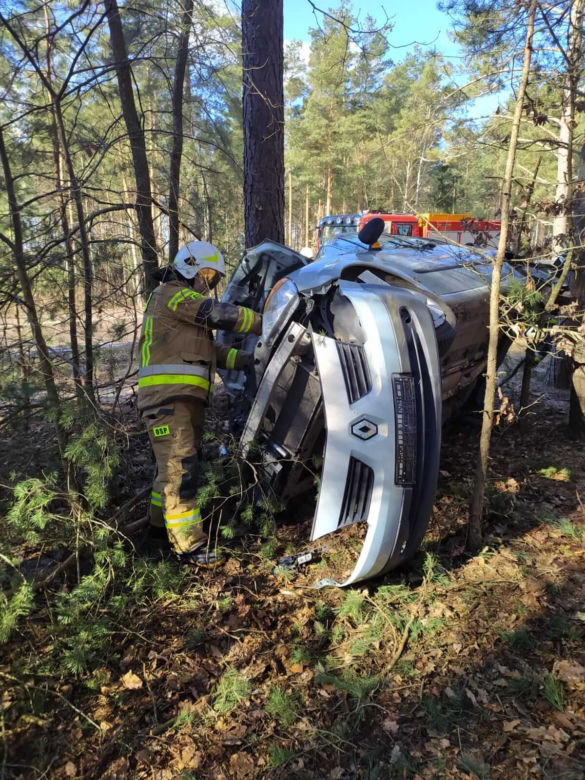 Wypadek na DW 686. Kierowca renault "zaparkował" między drzewami [ZDJĘCIA]