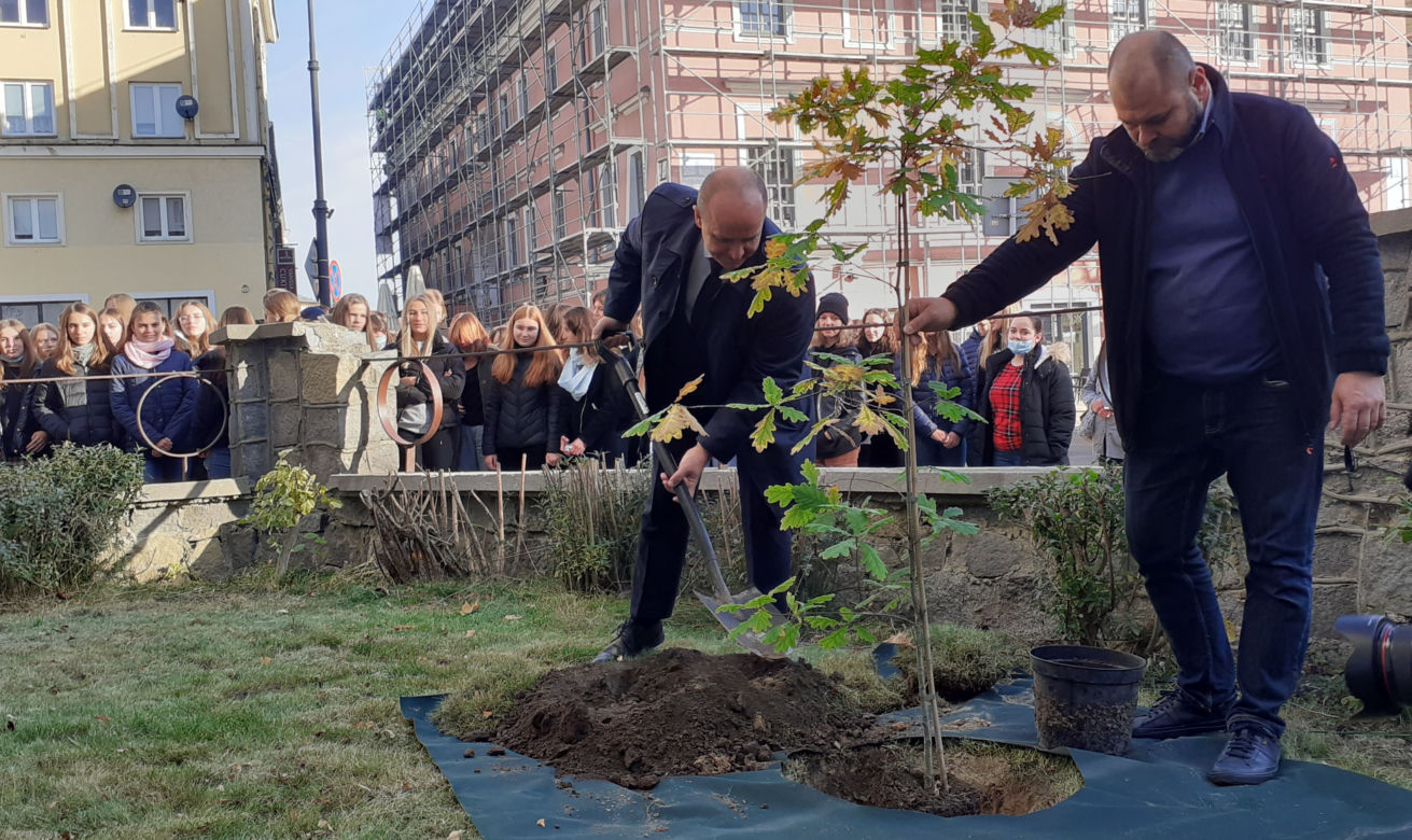 Zostawili listy potomnym i zasadzili drzewo. Święto Drzewa w Lublinie [GALERIA]