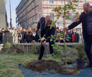 Zostawili listy potomnym i zasadzili drzewo. Święto Drzewa w Lublinie [GALERIA]