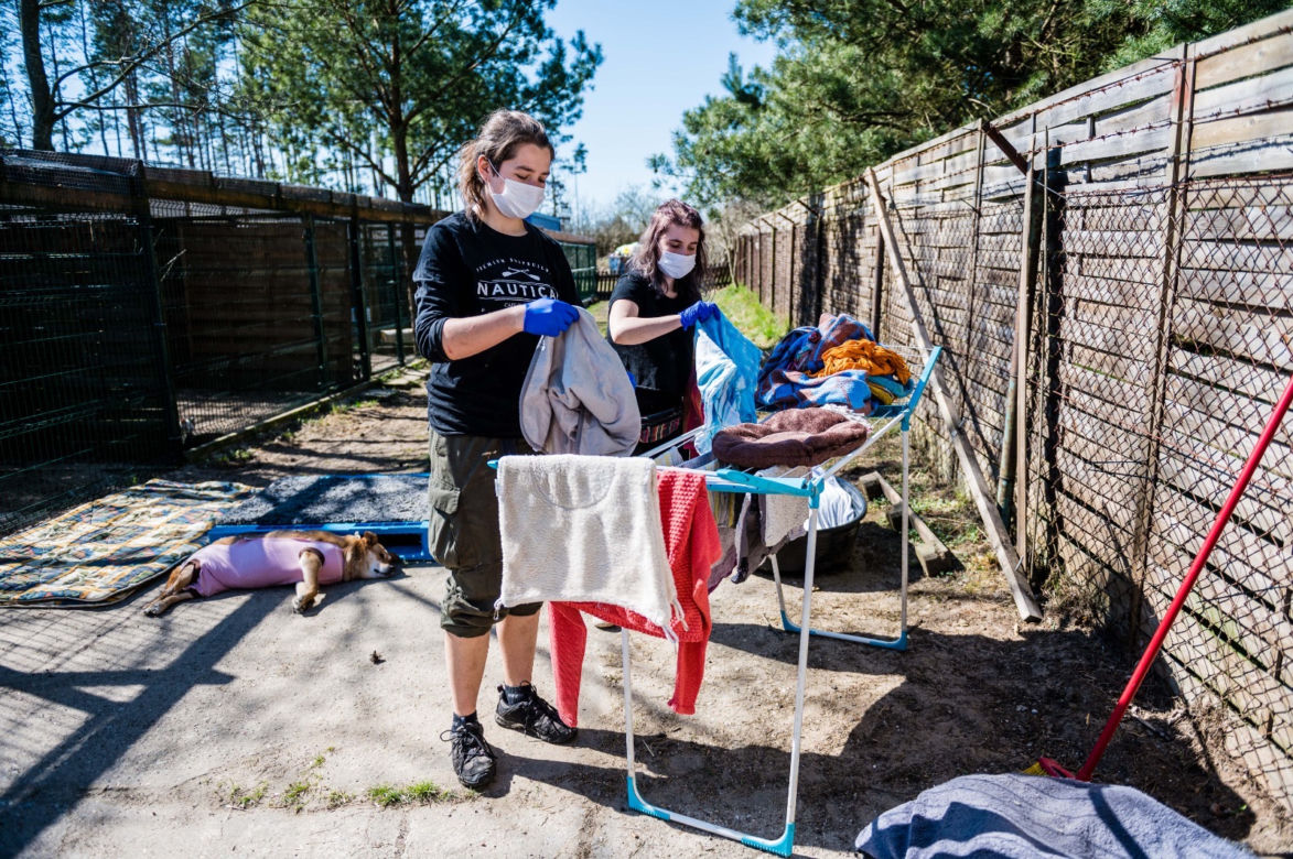 Koronawirus w Trójmieście. Zamieszkali razem ze zwierzętami w schronisku [ZDJĘCIA]
