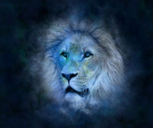 Horoskop. Sprawdź swój znak zodiaku 