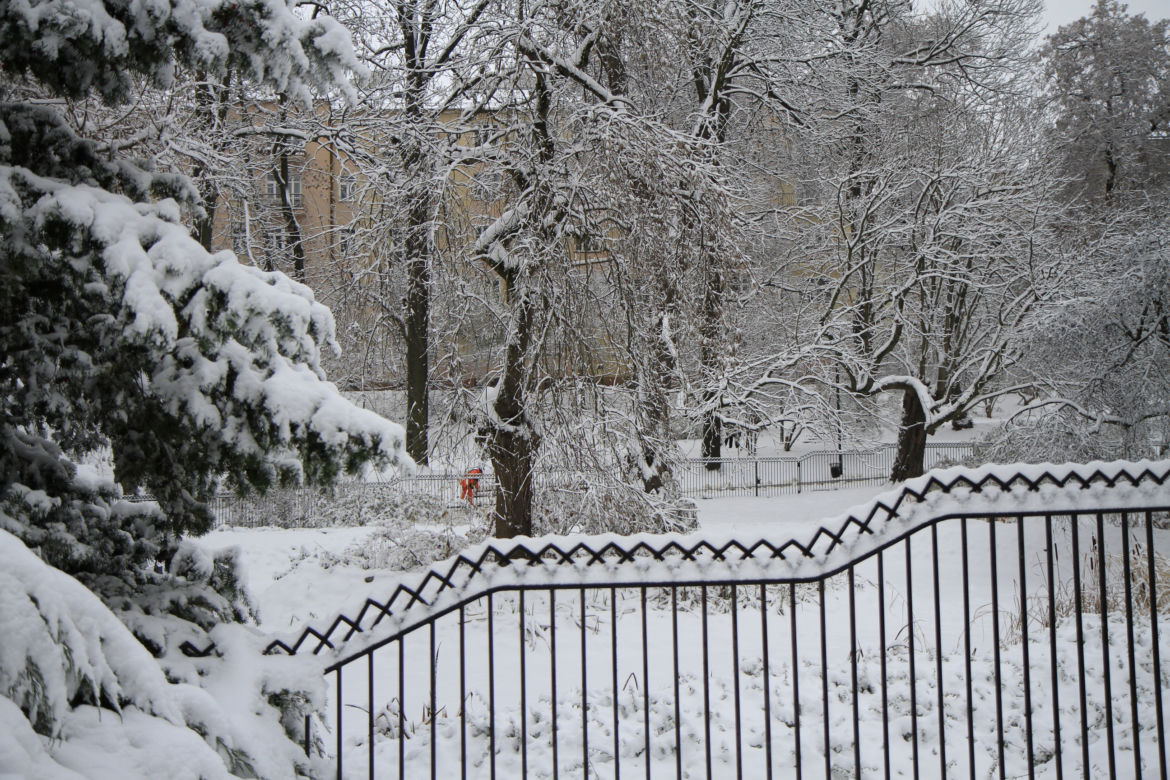 Pierwszy śnieg w Ogrodzie Saskim w Lublinie w tym sezonie!