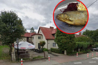 Szturmy na karpia rozpoczęte. Tak wygląda przedświąteczna oferta w Sierakowicach
