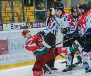 KH Energa Toruń - Zagłębie Sosnowiec 3:2 - zdjęcia z meczu i trybun