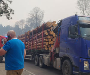 Pożar w Puszczy Solskiej