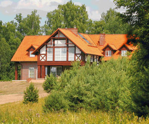 Miłość w szuwarach