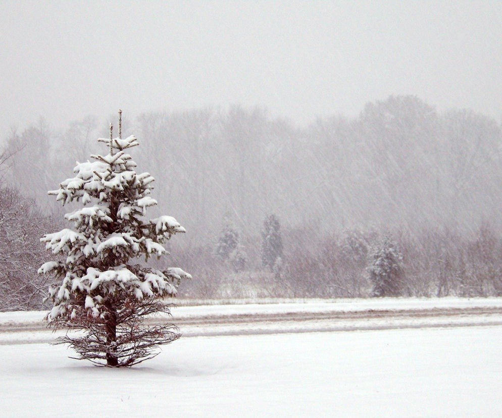 śnieg