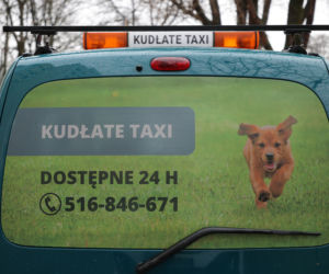 Kudłate Taxi. Jedyna taka taksówka w Warszawie