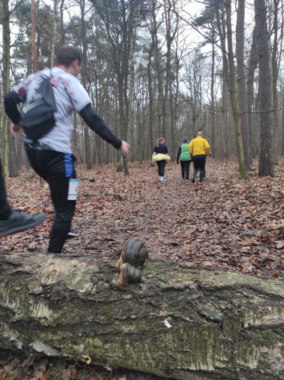 XXXVIII Bieg Sylwestrowy. Ostatni dzień w roku na sportowo