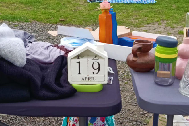 Pchli targ na Pogodnie