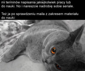 Memy o kwarantannie
