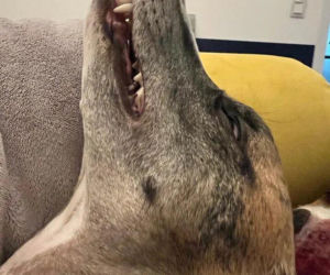 Willa za miliony i koniec miłości! Prokop rozstał się z żoną po 20 latach