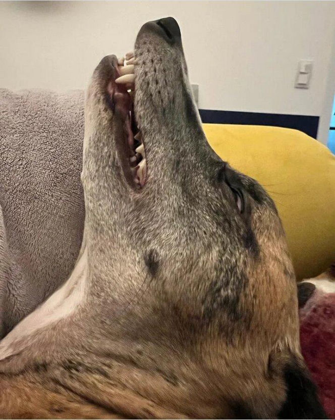 Willa za miliony i koniec miłości! Prokop rozstał się z żoną po 20 latach