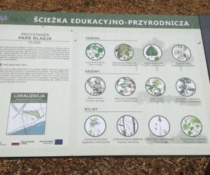 Park Glazja