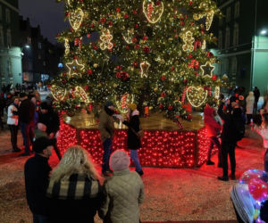 Choinka przed urzędem miasta w Szczecinie