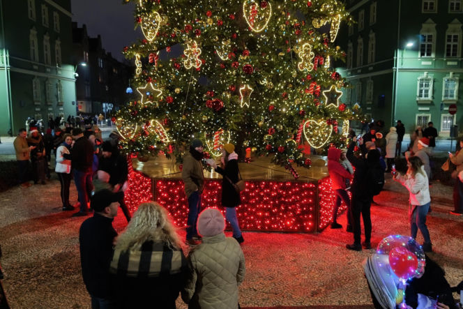 Choinka przed urzędem miasta w Szczecinie