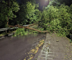 Zalane Starachowice. Widoki po burzy 1.07.2026