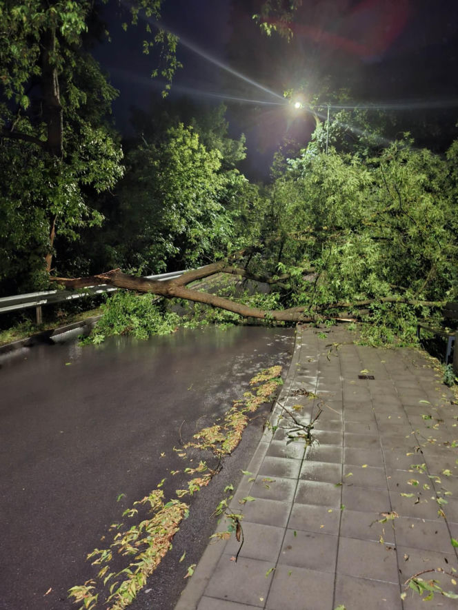 Zalane Starachowice. Widoki po burzy 1.07.2026
